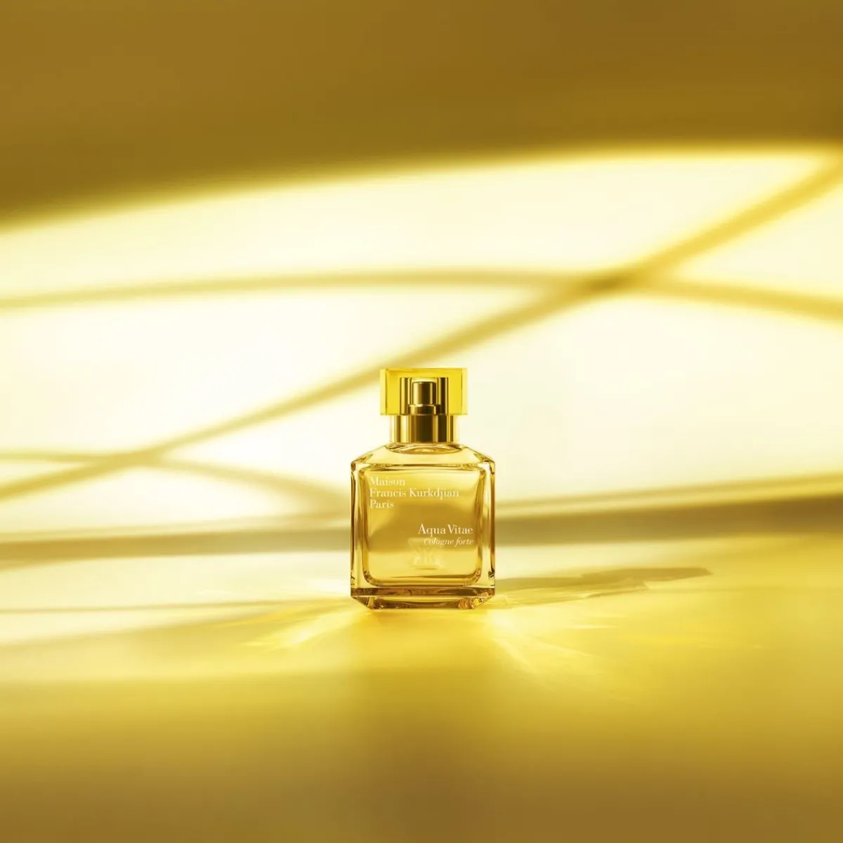 Francis Kurkdjian | Citrus | Perfume Lounge Aqua Vitae Cologne forte - eau de parfum