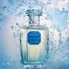 Mandarijn | Citrus | Perfume Lounge Aura Maris - eau de toilette