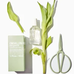 Energiek | Citrus | Perfume Lounge Bergamot - eau de parfum