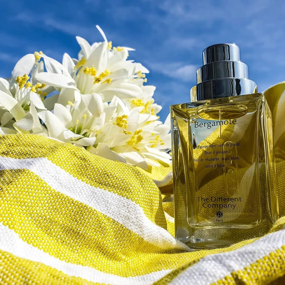 Citrus | Perfume Lounge Bergamote - eau de toilette