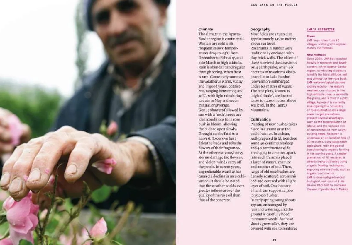 Boeken | Perfume Lounge Damask Rose in perfumery