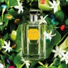 Oranjebloesem | Citrus | Perfume Lounge Dilmun - eau de toilette