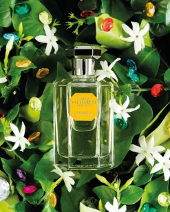 Oranjebloesem | Citrus | Perfume Lounge Dilmun - eau de toilette