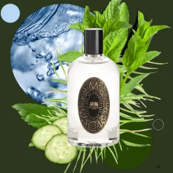 Clean | Groen | Perfume Lounge Eau Simple de Concombre - eau de toilette