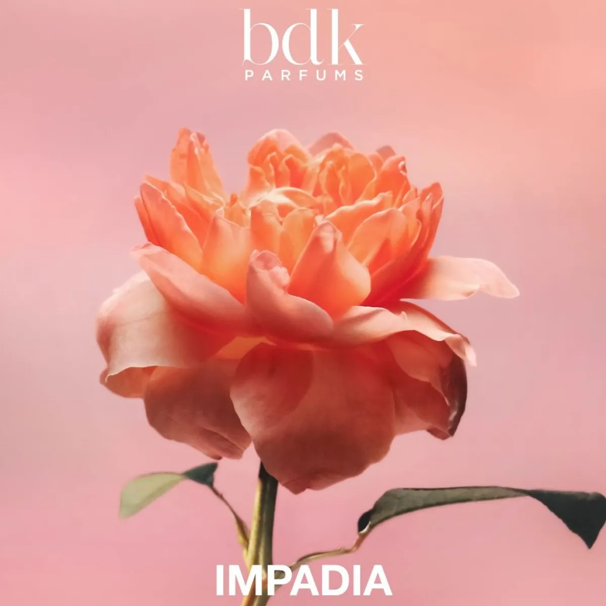 Voor Haar | Perfume Lounge Impadia - travel spray