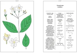 Boeken | Perfume Lounge Jasmine Sambac in perfumery