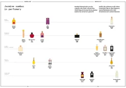 Boeken | Perfume Lounge Jasmine Sambac in perfumery