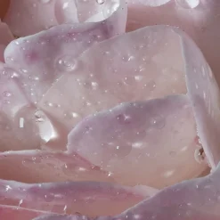 Francis Kurkdjian | Vrolijk | Perfume Lounge l'eau A la rose - eau de toilette