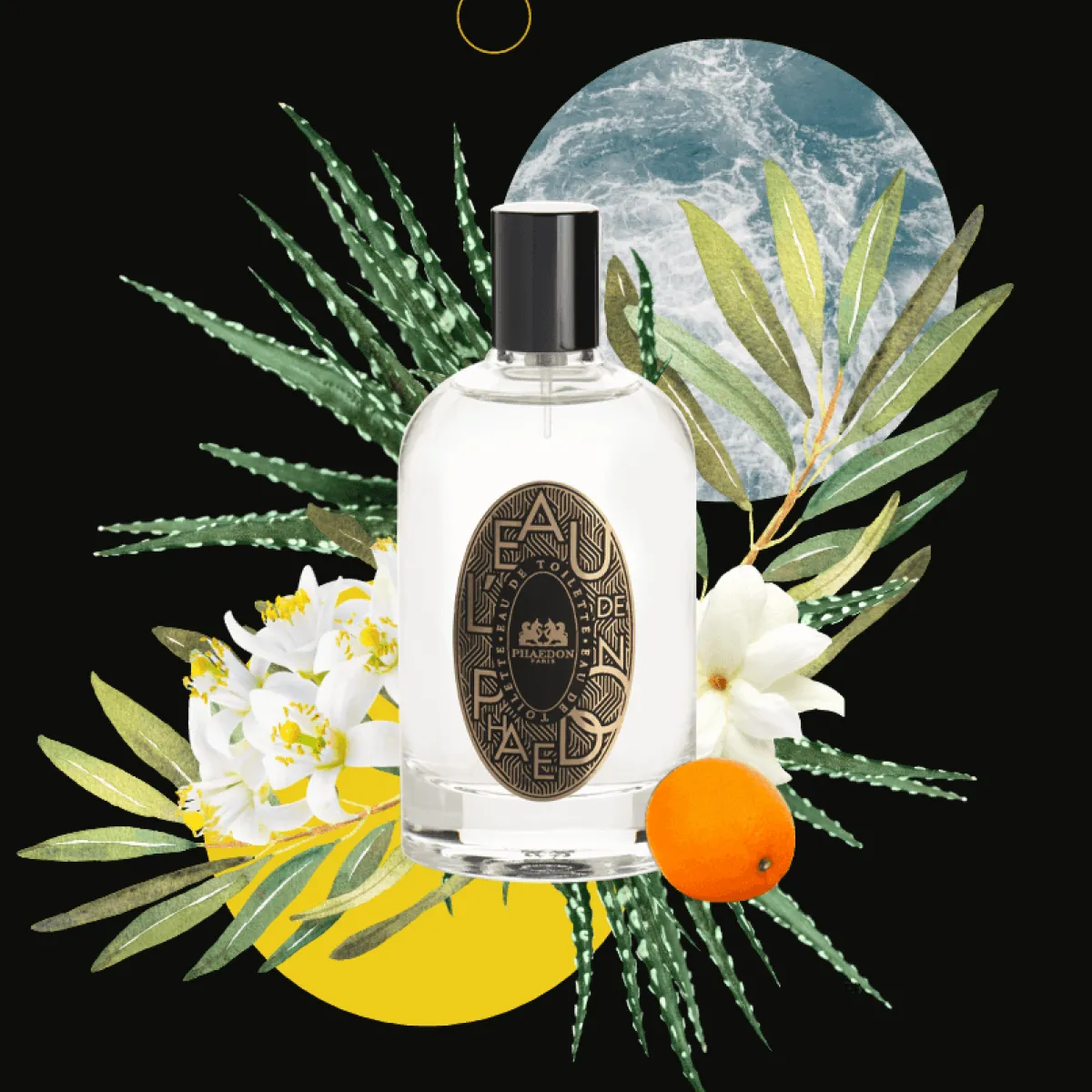 Citrus | Perfume Lounge L'eau de Phaedon - eau de toilette