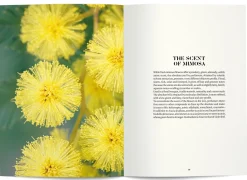 Boeken | Perfume Lounge Mimosa in perfumery