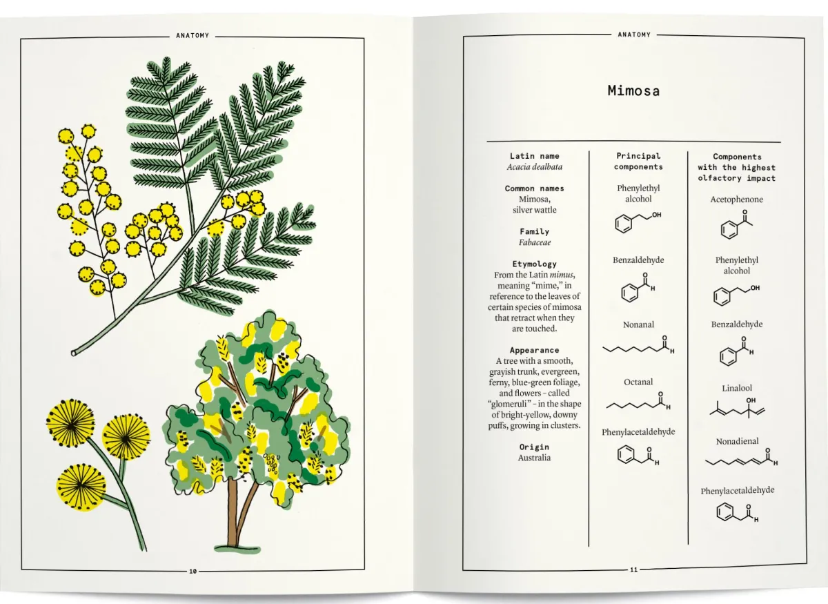 Boeken | Perfume Lounge Mimosa in perfumery