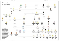 Boeken | Perfume Lounge Patchouli in perfumery