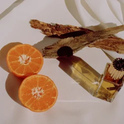 Houtachtig | Perfume Lounge Seekwood - extrait de parfum