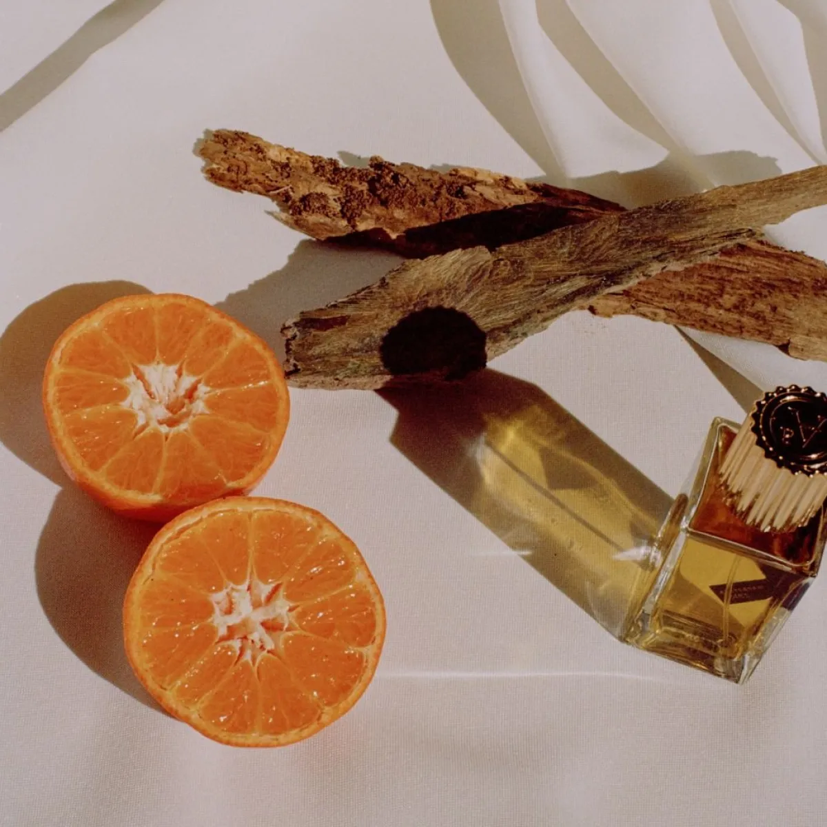 Houtachtig | Perfume Lounge Seekwood - extrait de parfum