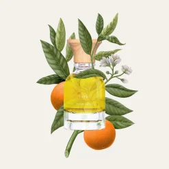 Citrus | Perfume Lounge Tryst - eau de parfum