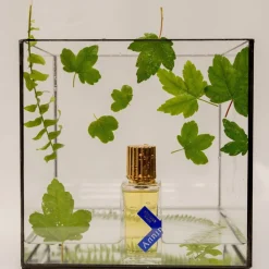 Voor Hem | Christophe Laudamiel | Perfume Lounge Vetiver Rain - extrait de parfum